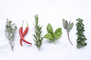 Fresh Herbs and Spices