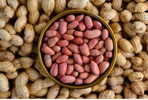Peanuts and Groundnuts