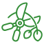 Fruit Icon